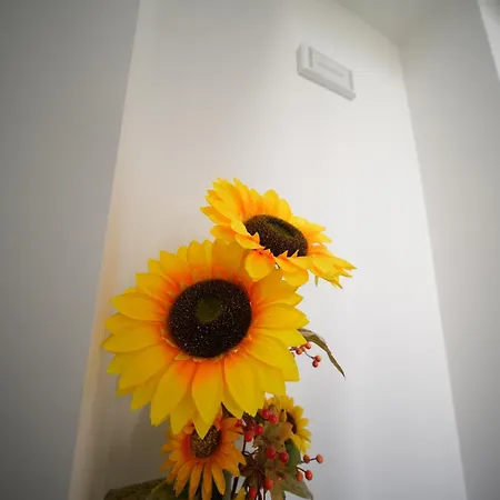La Casa Di Nonna